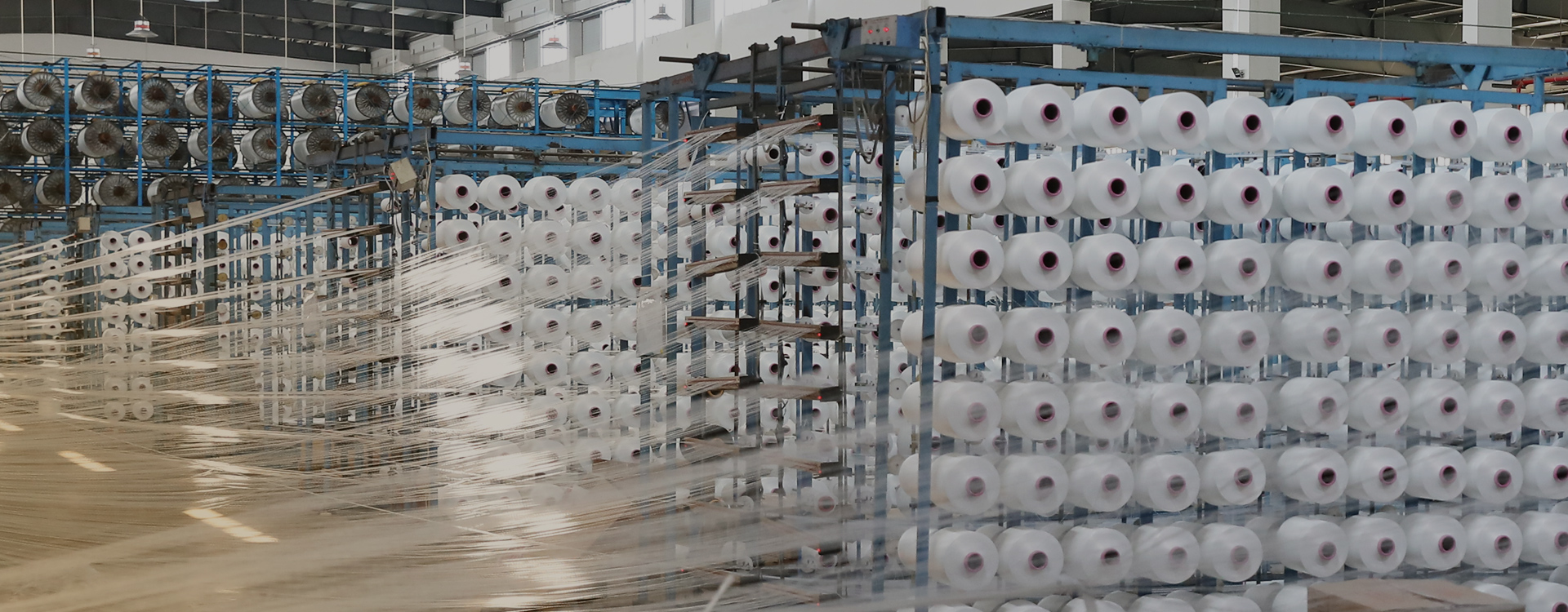Taizhou Donghaixiang Dyeing and Finishing Co., Ltd.